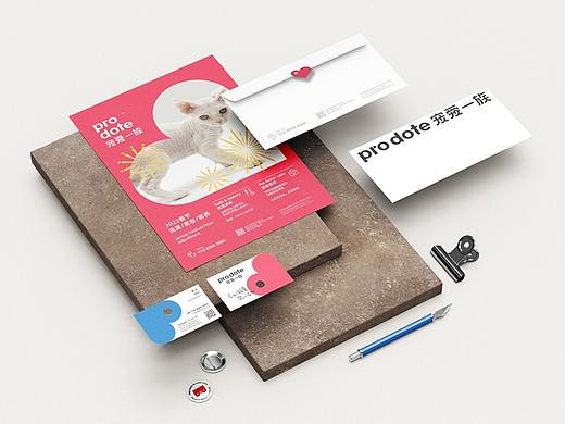pro dote 宠物店品牌升级