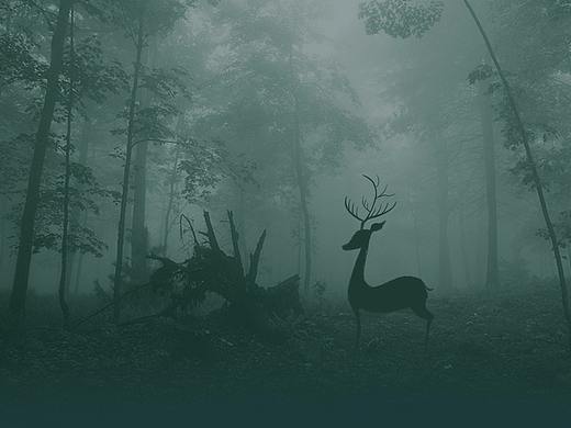 安卓手机主题——森林风格主题