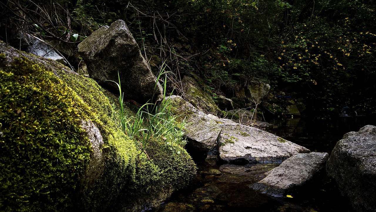 闲情逸致山水照