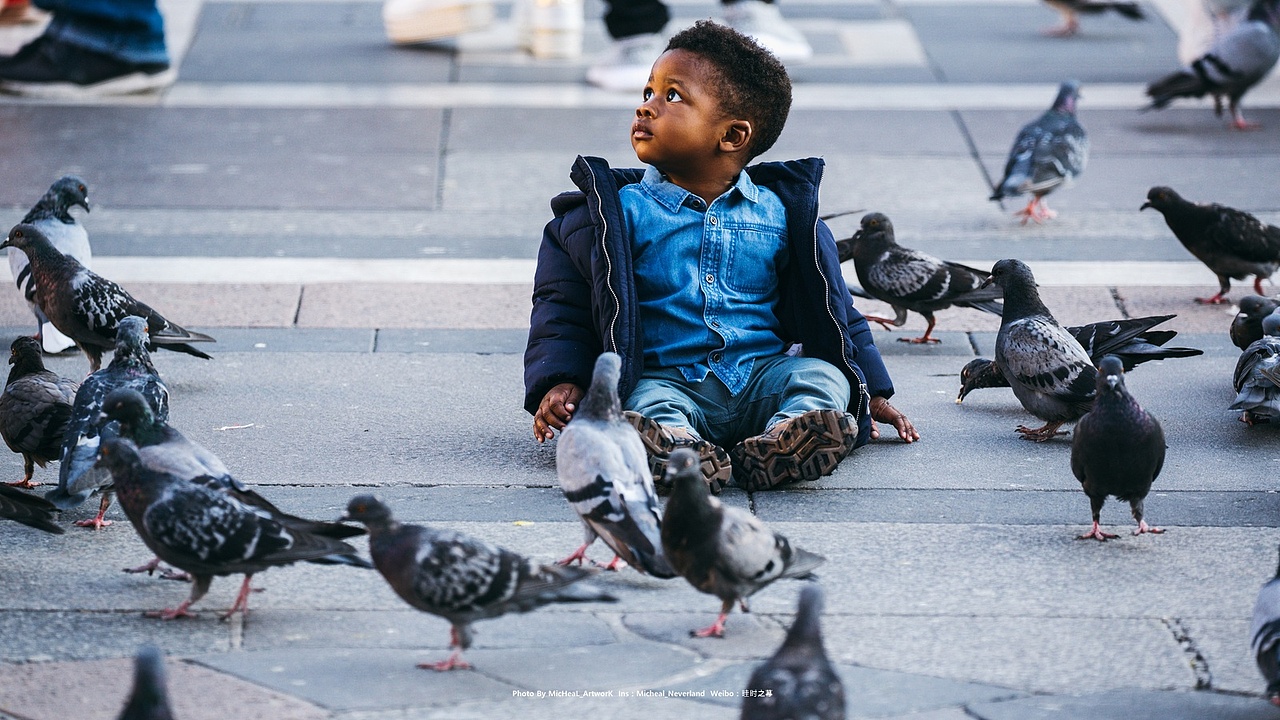 米兰大教堂前广场数不清的鸽子飞舞着，小朋友的眼睛是真的好大……