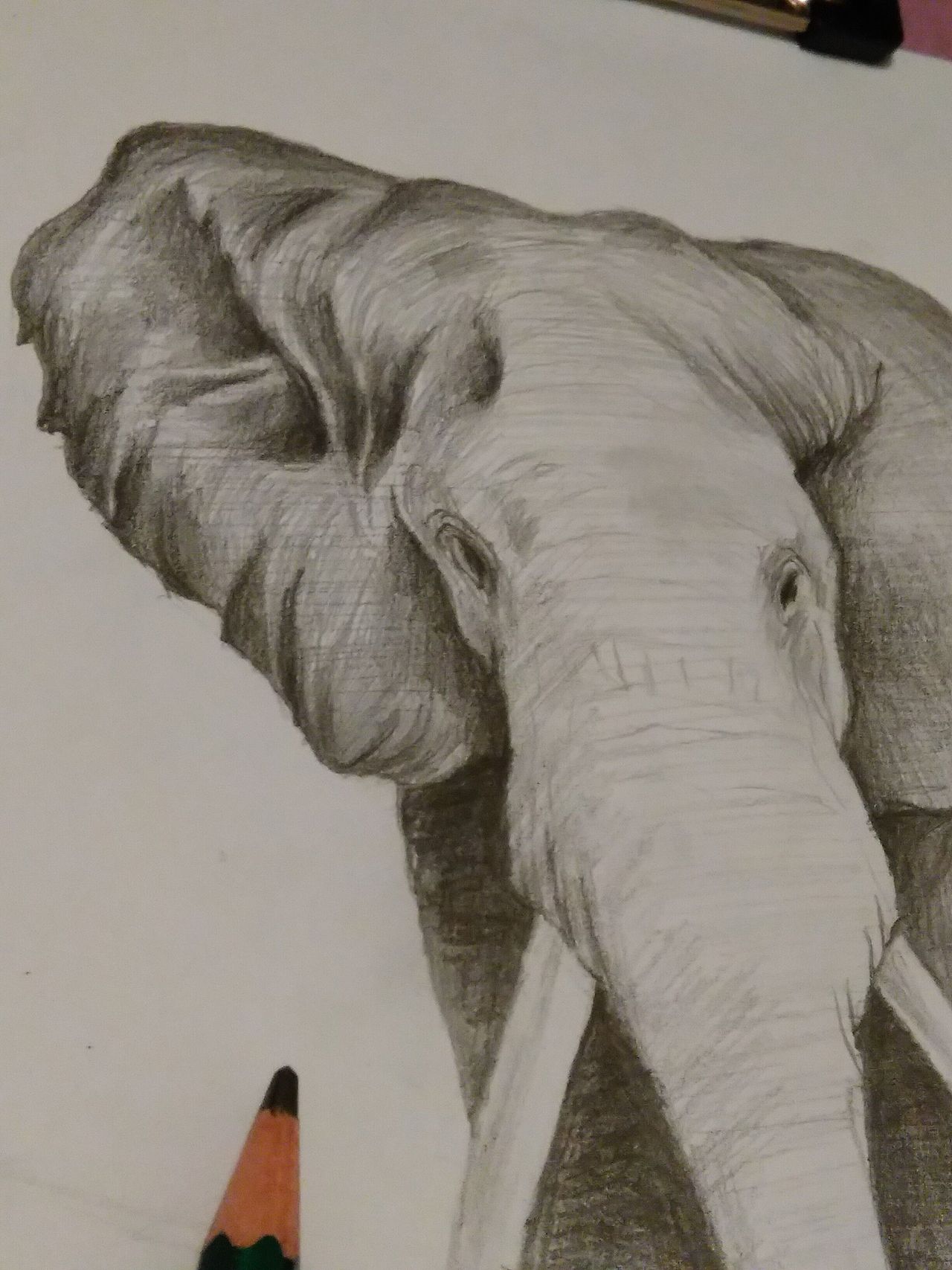 铅笔素描之象