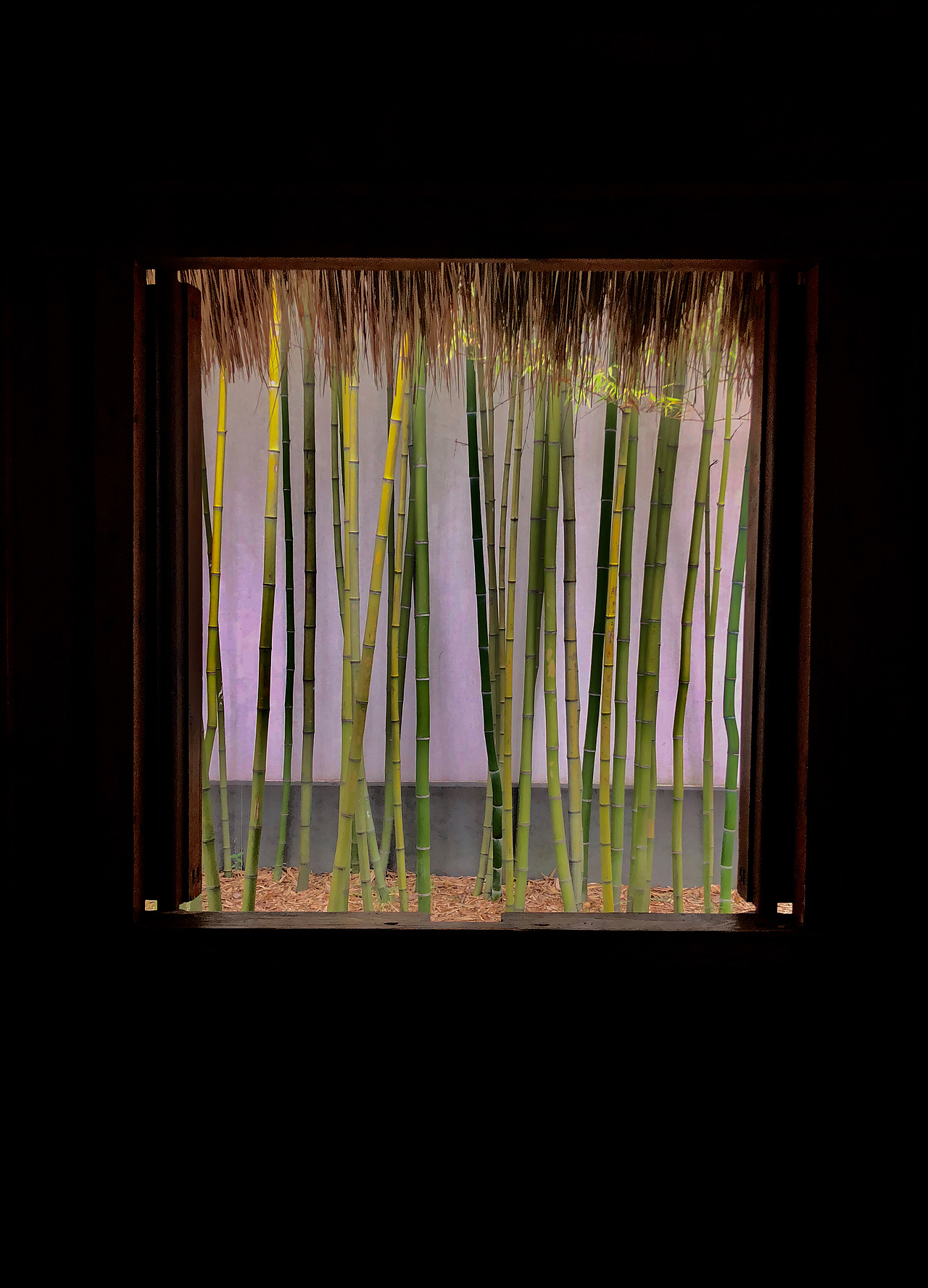 苏州博物馆 竹子和窗（图ZMTQwODM0MDk2） - 风光摄影 - 站酷设计师21vee原创素材 - 站酷ZCOOL