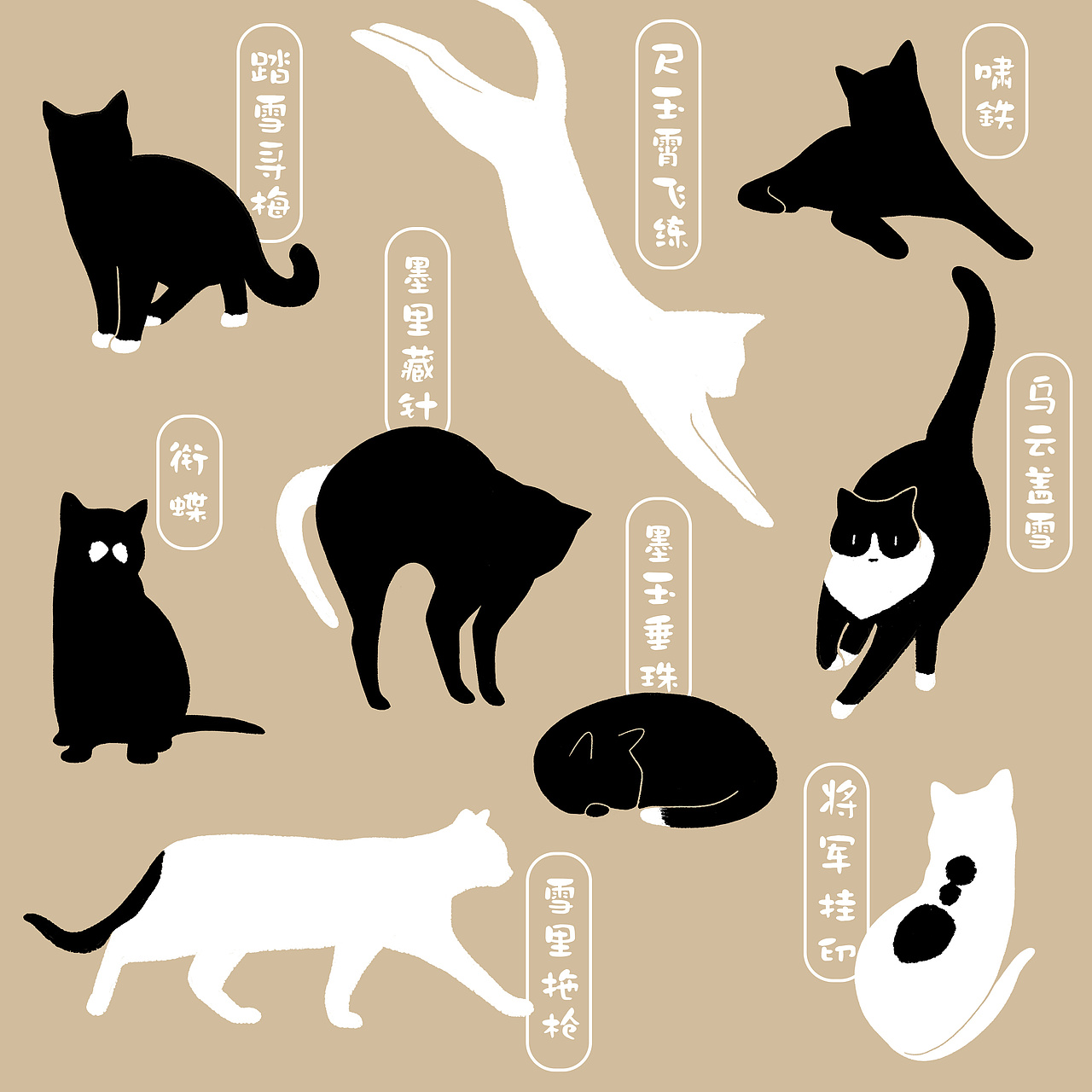 9 Elegant names of black and white cat