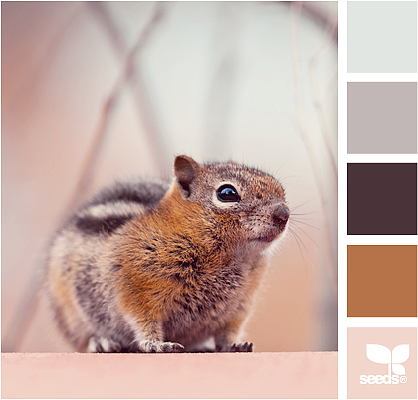 网页实物配色——灰白系（图ZMTQ5MzU5ODQ4） - 其他网页 - 站酷设计师CoolerUX原创素材 - 站酷ZCOOL