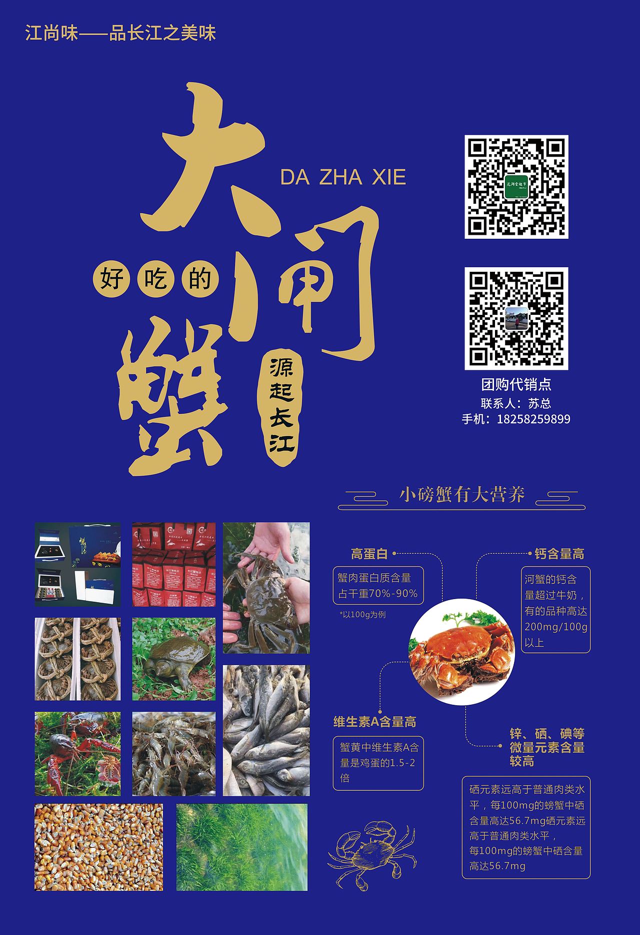 开业海报（图ZMjMwNjQ0MzI4） - 海报 - 站酷设计师懒虫紫晓原创素材 - 站酷ZCOOL