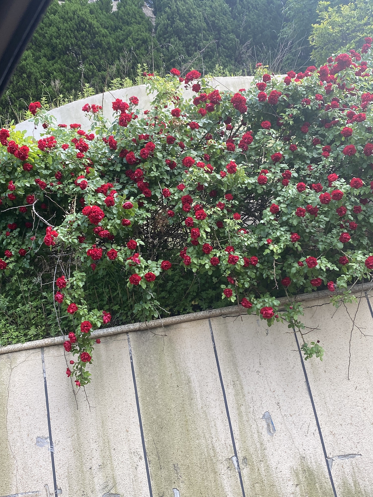 随手记录（图ZMzU3MTg0NDUy） - 风光摄影 - 站酷设计师派大星星星亮晶晶原创素材 - 站酷ZCOOL