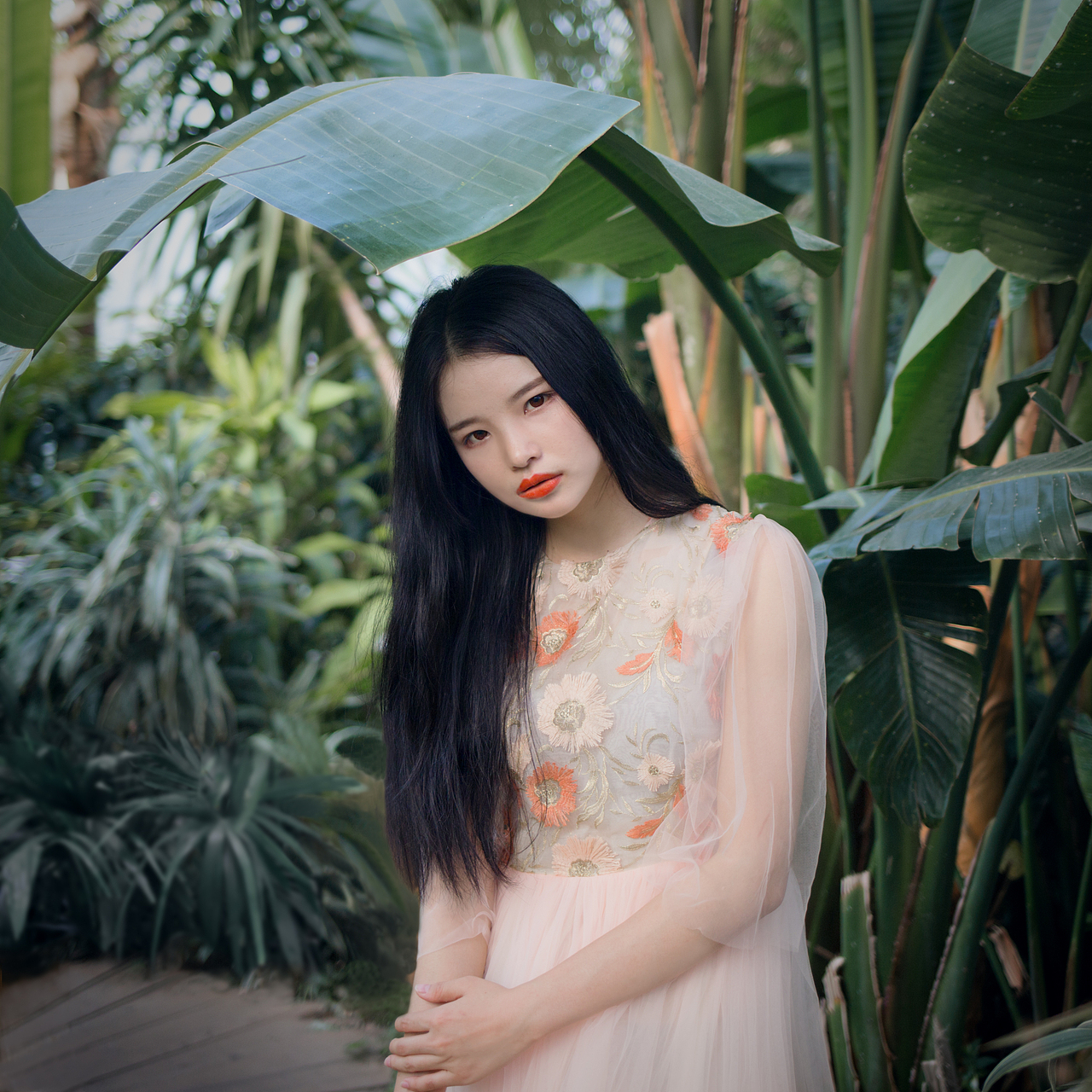 热带雨林（图ZODIwNDgzNzY=） - 人像摄影 - 站酷设计师M_Cony原创素材 - 站酷ZCOOL