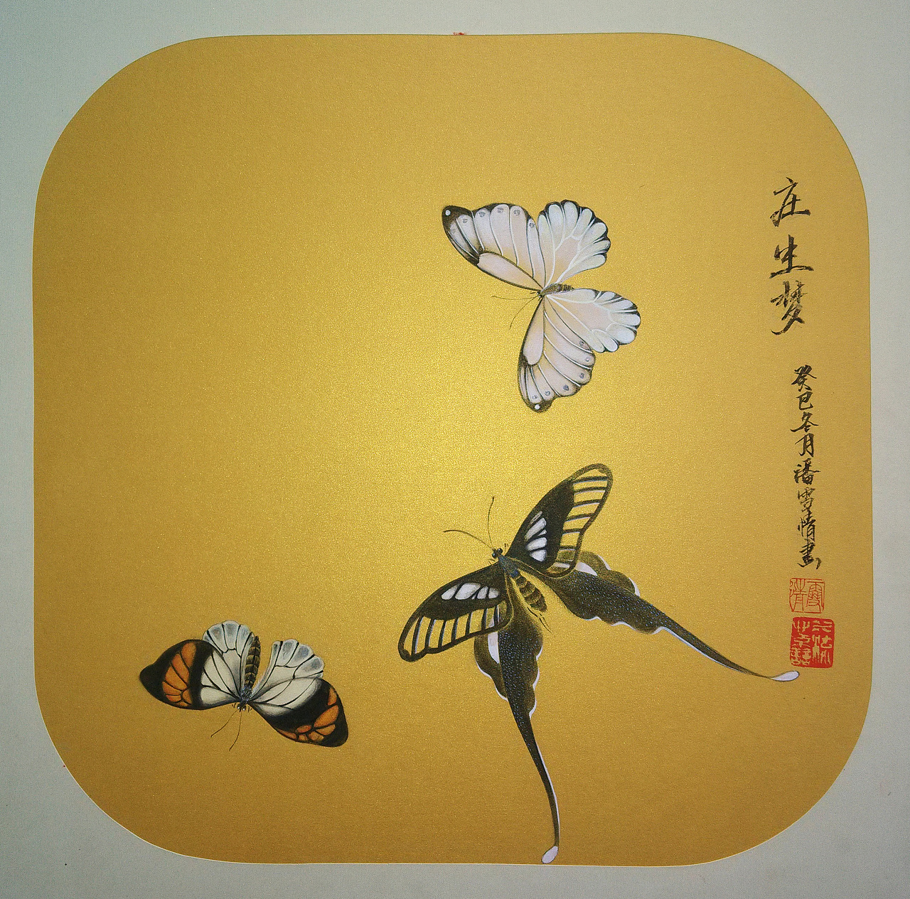 《花蝶小品》系列 五幅一组