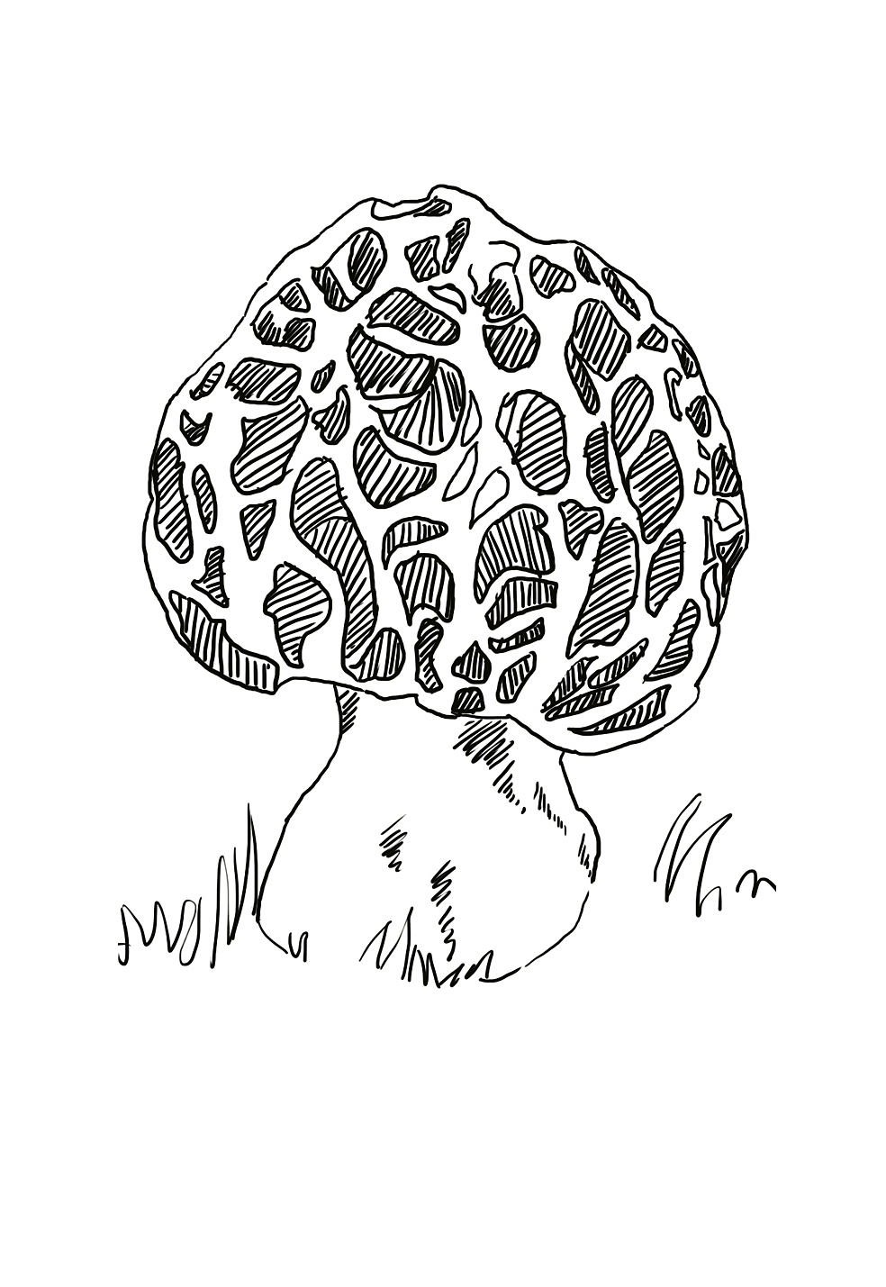 蘑菇-森林里的小房间