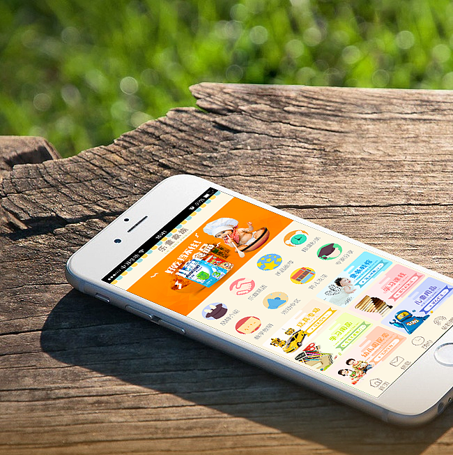 入行来一些项目精选