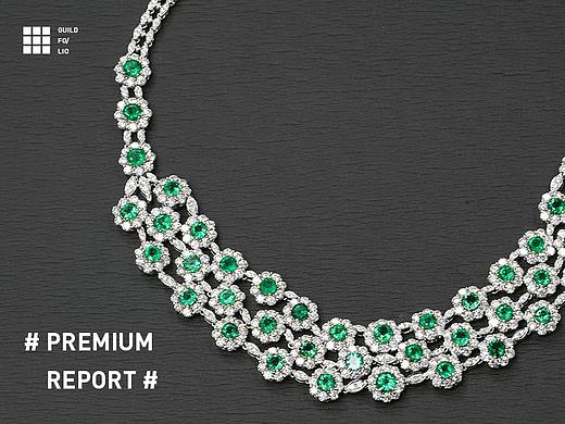 #Folio# Premium Report（II）
