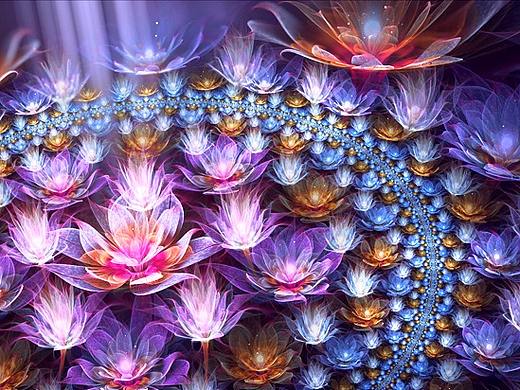 一花一世界 万物皆分形 系列2 庞加莱花园