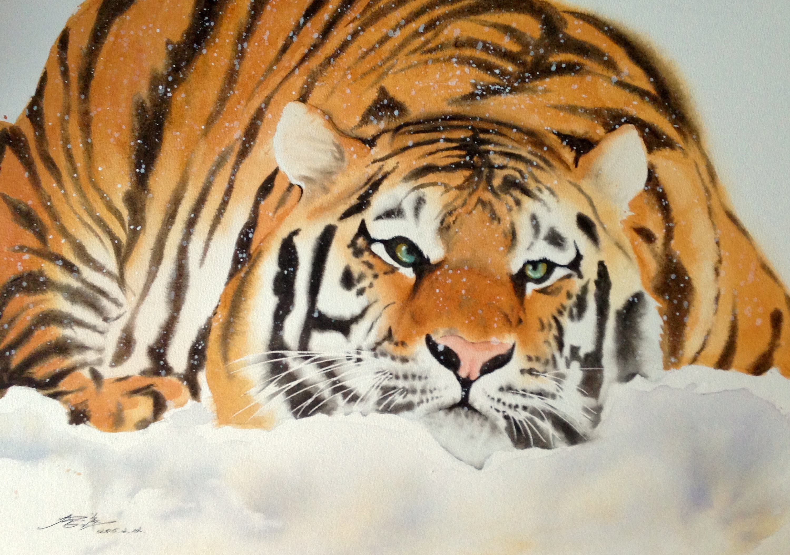 老虎水彩画画法图片