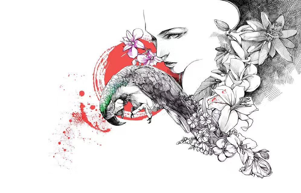 女人、花、鹦鹉插画（图ZMjU0MjU1MDEy） - 艺术插画 - 站酷设计师朗姆Rum原创素材 - 站酷ZCOOL