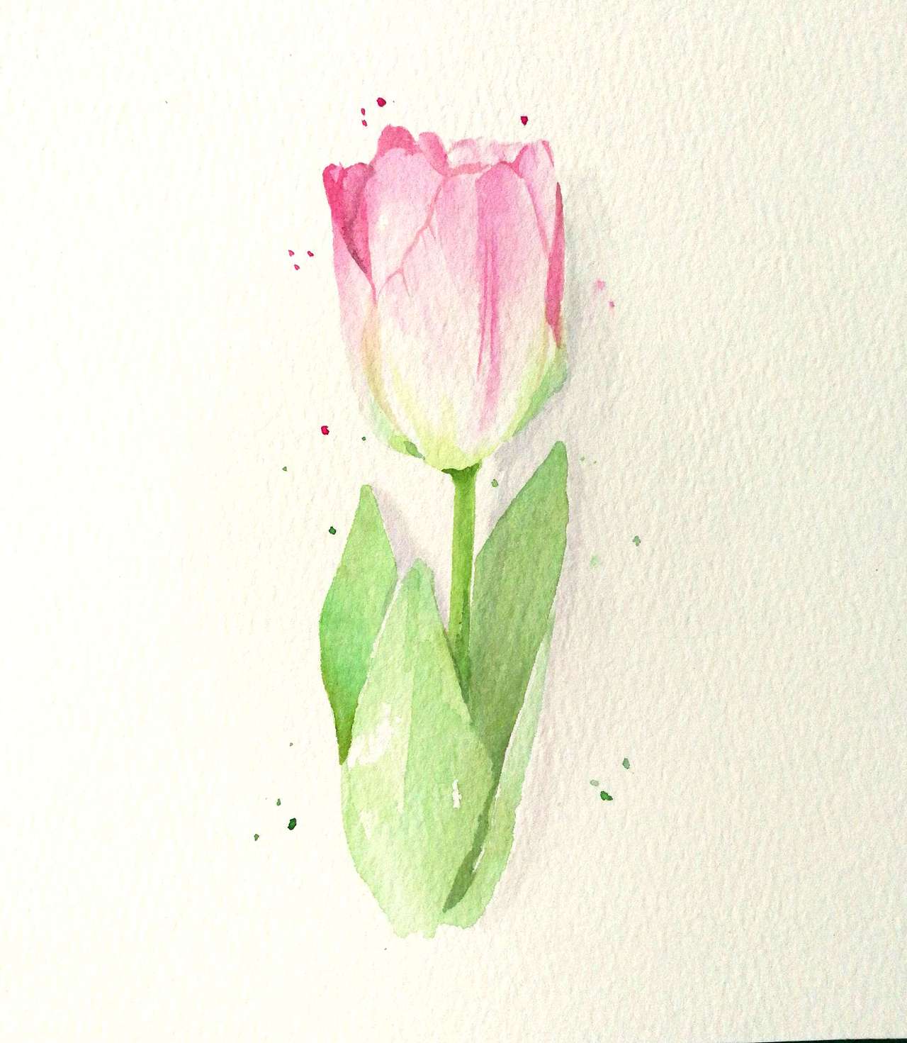 郁金香（图ZODE5Njc2ODA=） - 商业插画 - 站酷设计师方心上游原创素材 - 站酷ZCOOL