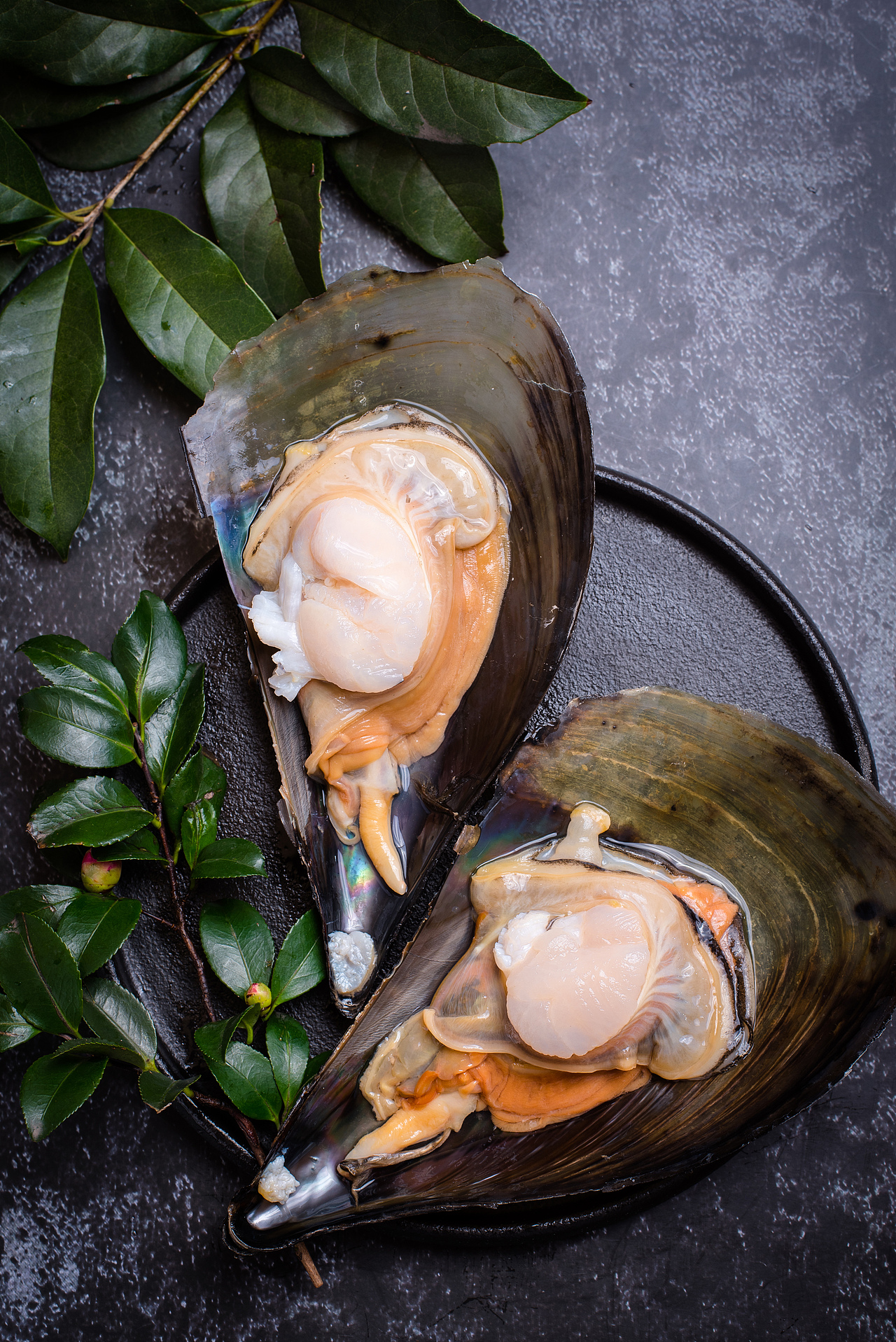 炙吞【海鮮炭火焼き·日本酒専門店】