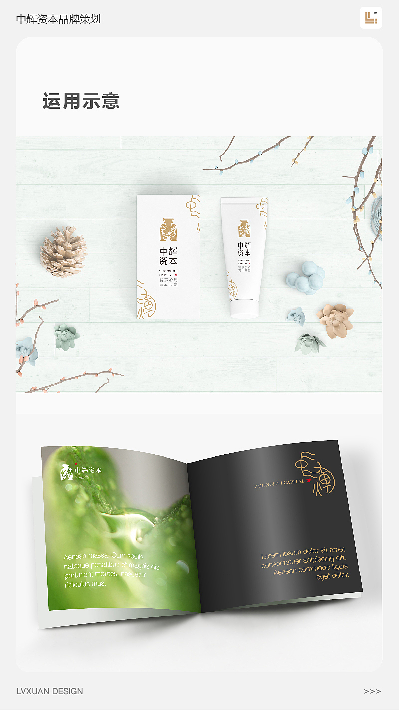 LVXUAN DESIGN 2017品牌回顾之【中辉资本品牌设计】