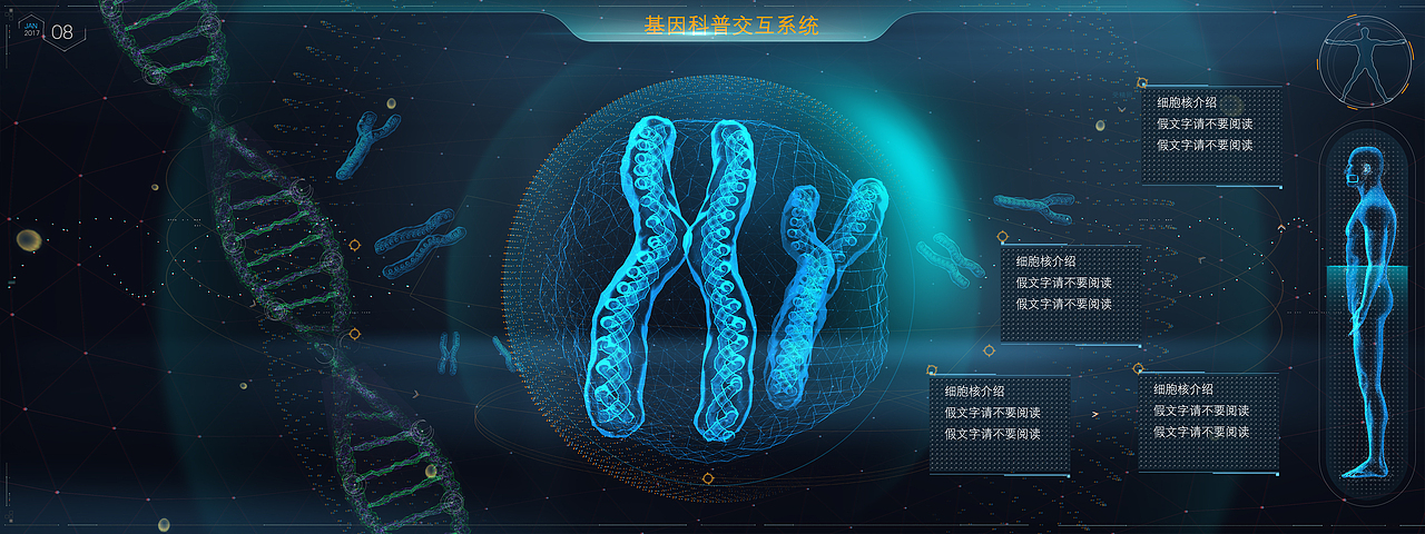 某造血干细胞研究机构的展示系统