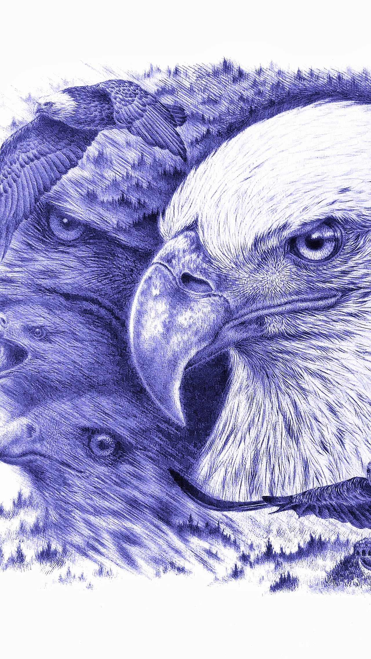 《壮志雄心》圆珠笔画|纯艺术|绘画|vipp - 原创作品 - 站酷 (zcool)