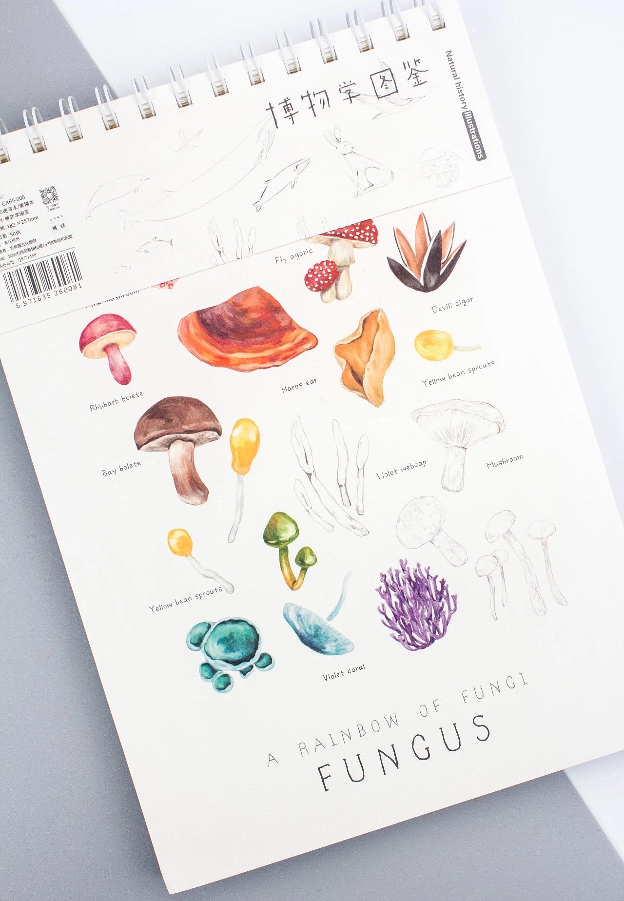 博物学图鉴 (海底生物 菌菇 兔子 鸽子)