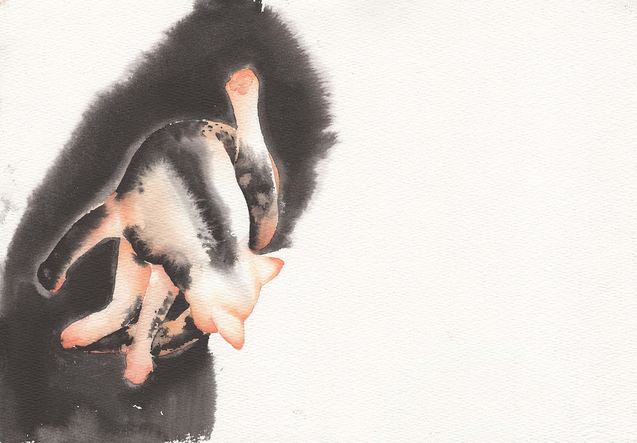 睡貓（圖ZMTUxNjEyNjg0） - 藝術(shù)插畫 - 站酷設(shè)計師白比原創(chuàng)素材 - 站酷ZCOOL