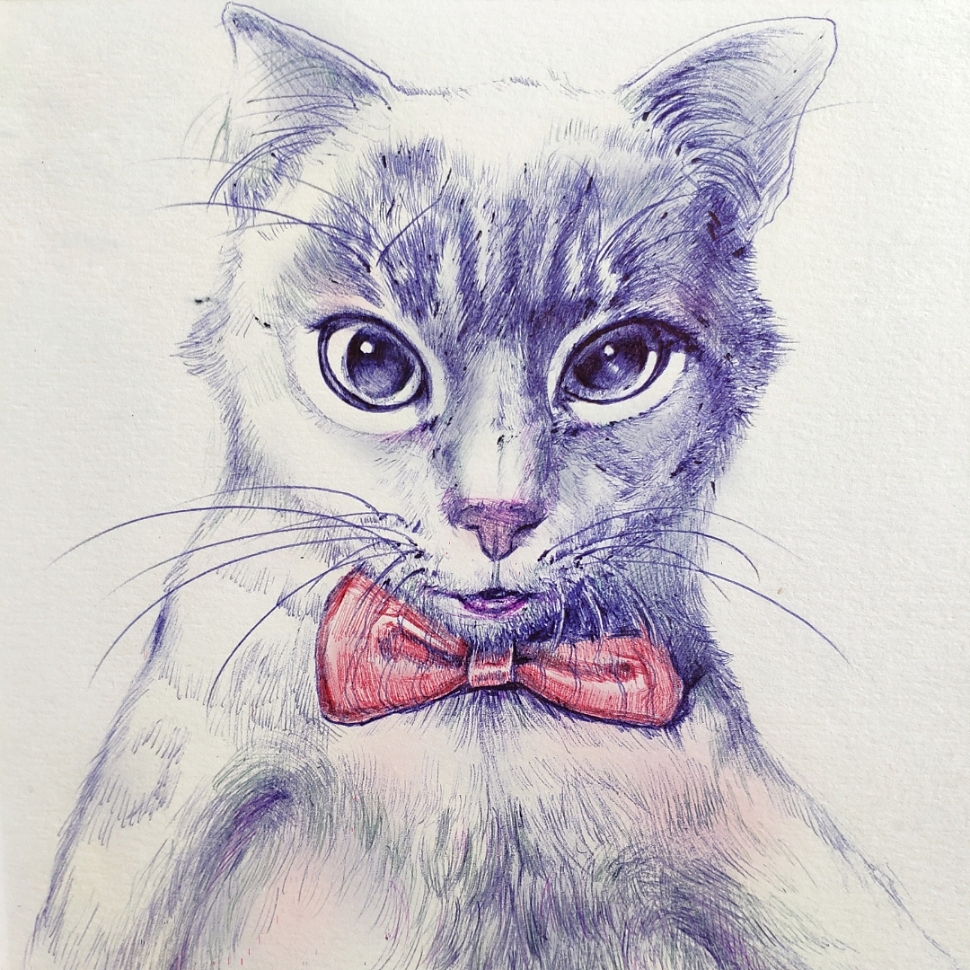 圆珠笔手绘猫（图ZMTk3NDczMzAw） - 绘本 - 站酷设计师超奥特曼原创素材 - 站酷ZCOOL