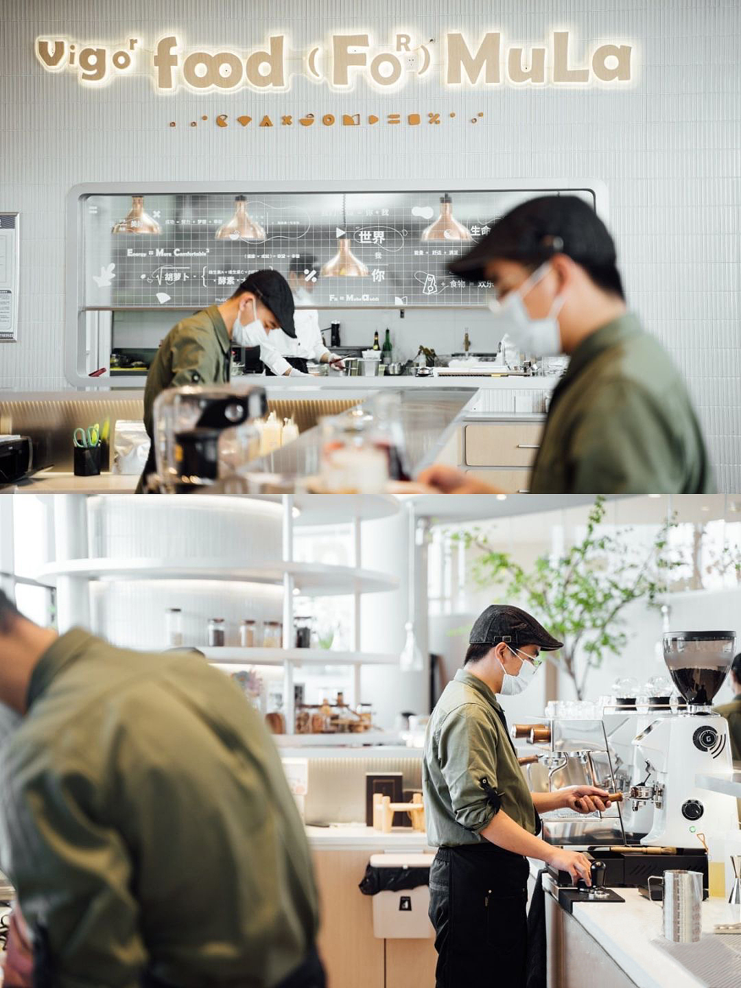 元气食物公式——科学配比的美食