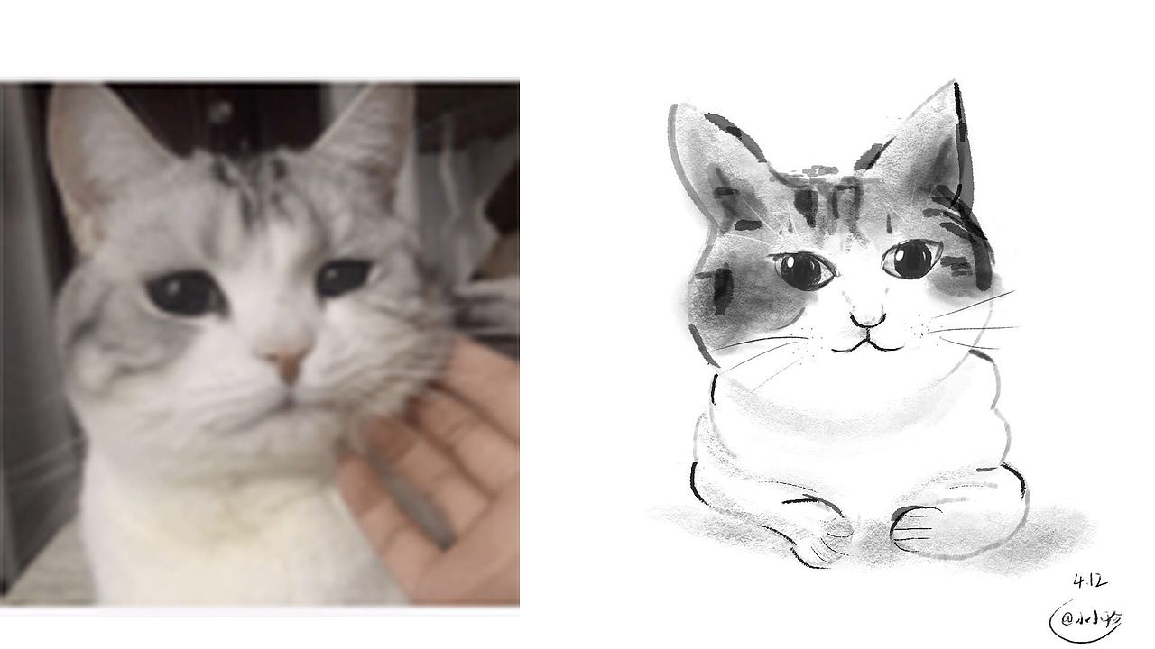 猫。国画（图ZMTU5NTcxNDI0） - 创作习作 - 站酷设计师奔跑的菜鸟猪原创素材 - 站酷ZCOOL