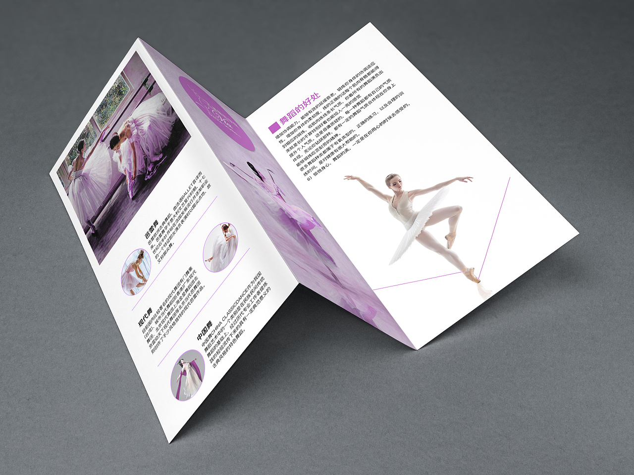 三折页（图ZMTI0MjIzNzI0） - 宣传物料 - 站酷设计师一枚设机狮原创素材 - 站酷ZCOOL