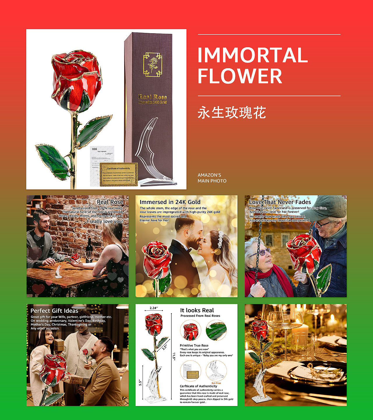 亚马逊主图设计A+设计-永生花（图ZMjgwNTk0MjY4） - 电商 - 站酷设计师我是小三七原创素材 - 站酷ZCOOL