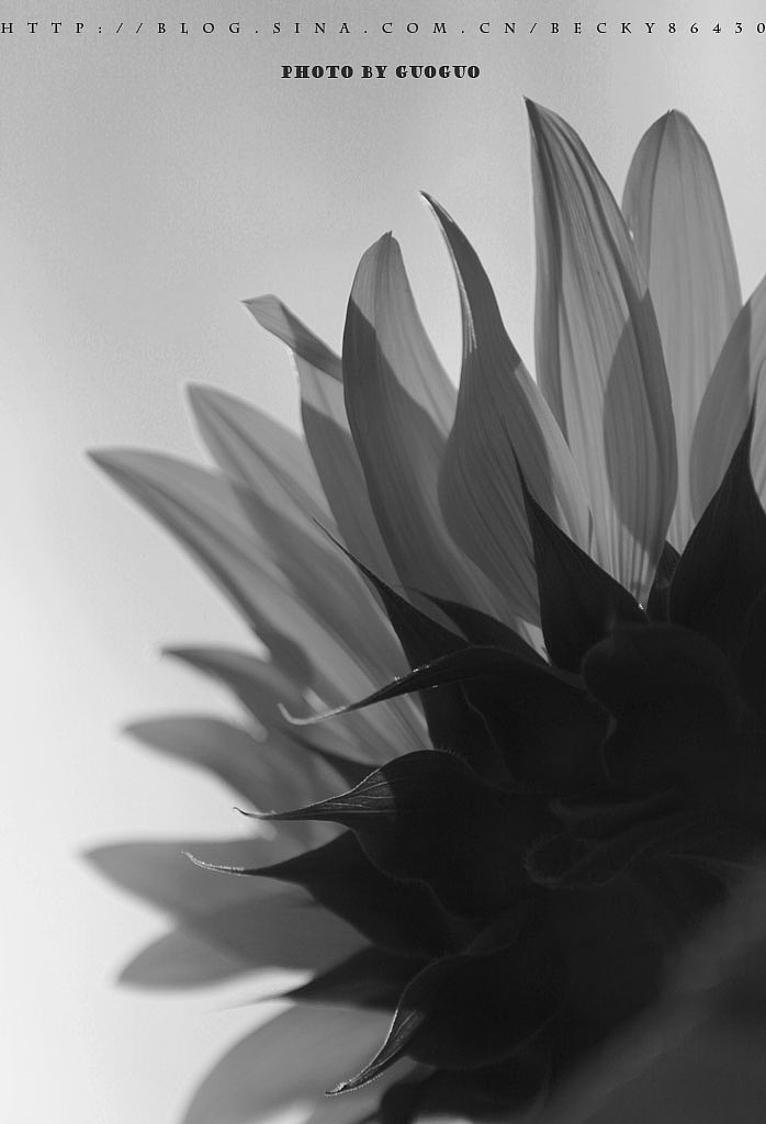 灰色电影 - 原创作品 - 站酷(zcool)