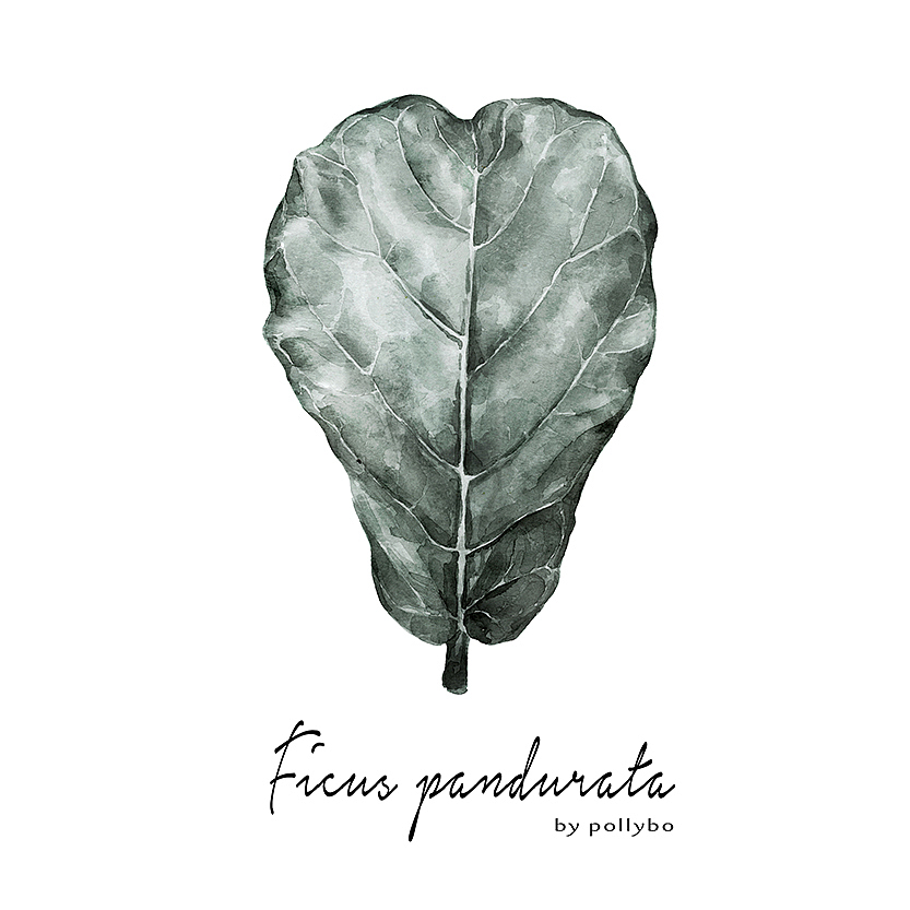 北欧植物 | 家居用品（图ZMTQwNjY1MTY0） - 商业插画 - 站酷设计师pollybo原创素材 - 站酷ZCOOL