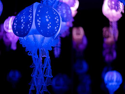 跨界作品 | 赴一场深海之约 ·「夜潜系列Ⅱ」