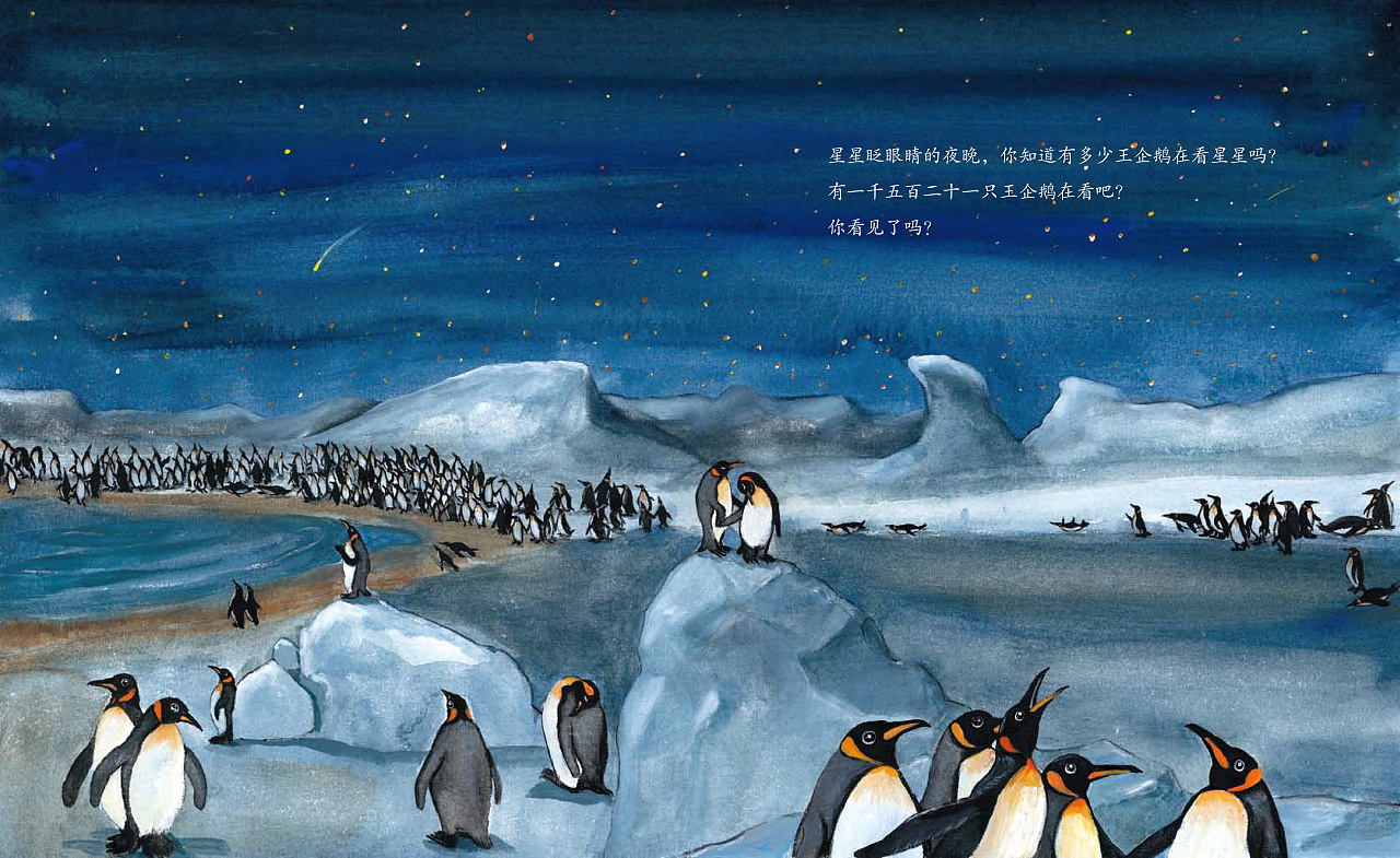 《王企鹅的幸运星》