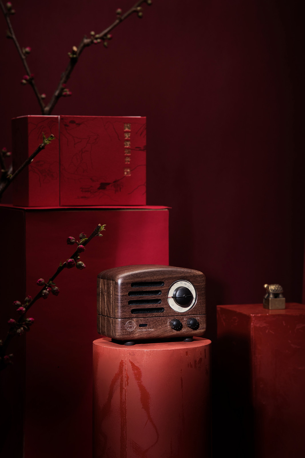 猫王音响拍摄-中国风