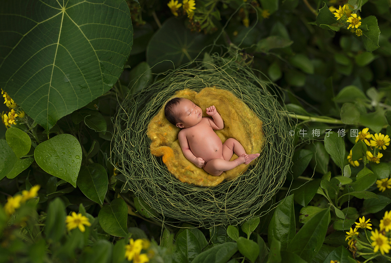 可爱的新生儿（图ZMTAyNzk0NTM2） - 修图/后期 - 站酷设计师牛梅子原创素材 - 站酷ZCOOL