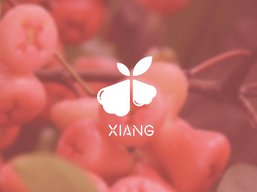 莲雾水果LOGO提案