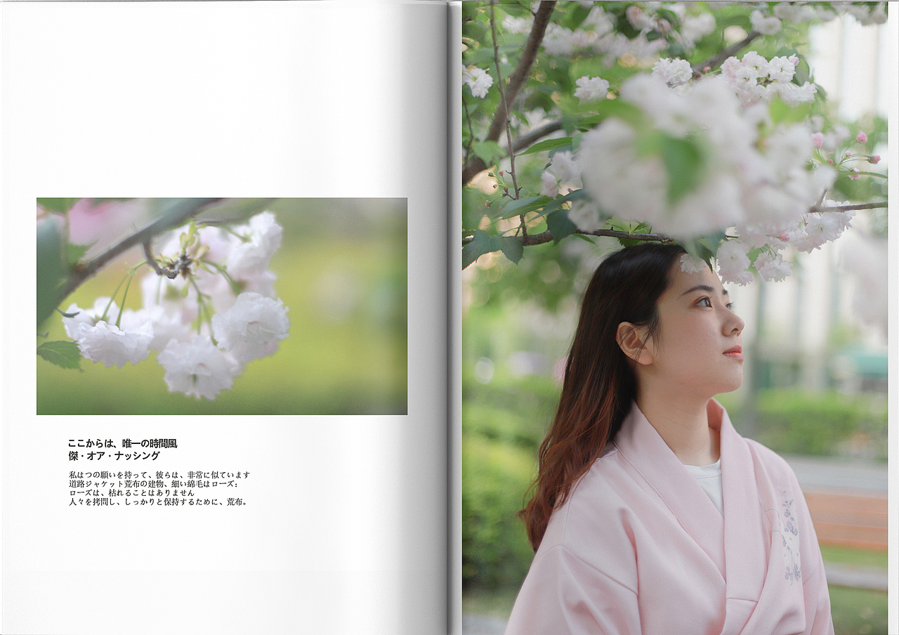 桜少女の寫真