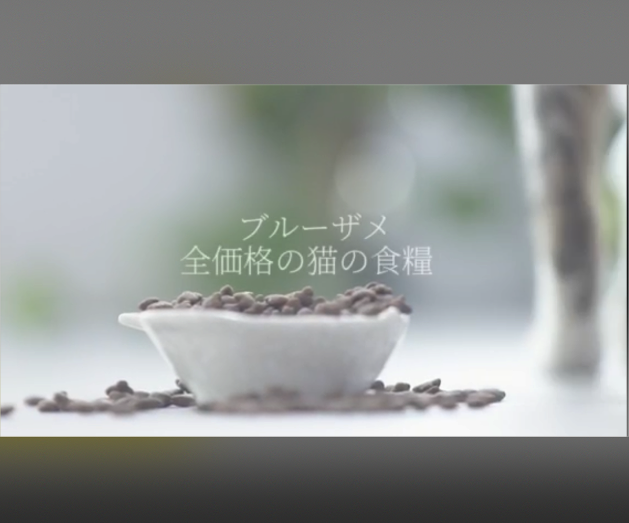 猫粮主图视频（图ZMjAyNjU3NzMy） - 短片 - 站酷设计师JoeyZhoou原创素材 - 站酷ZCOOL