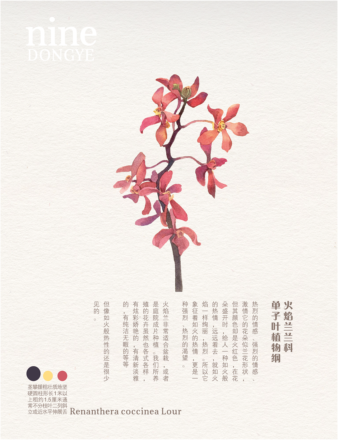 绘花（图ZMjQ5NzA1OTcy） - 绘本 - 站酷设计师红耳环姑孃儿原创素材 - 站酷ZCOOL