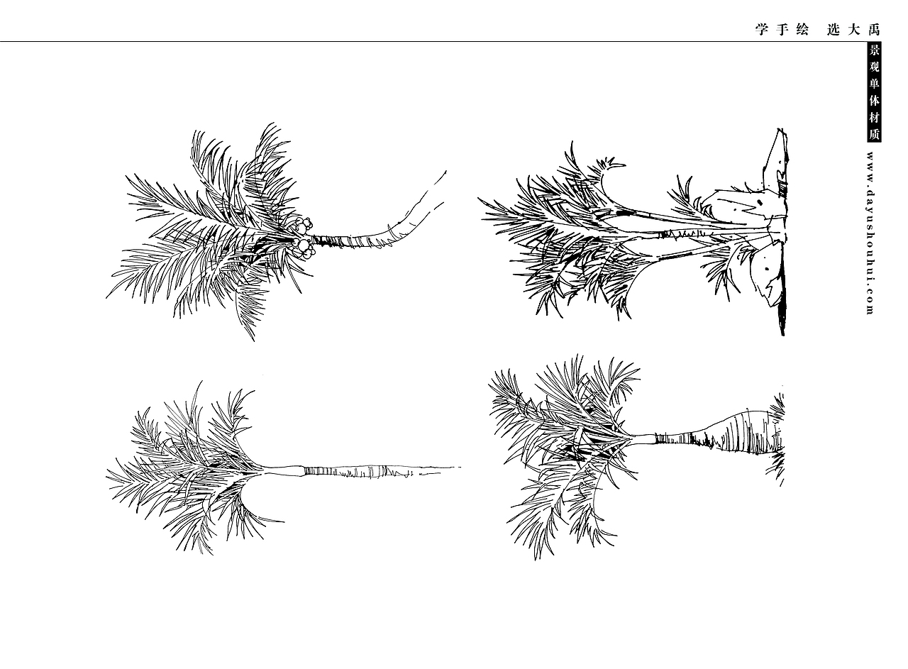大禹手绘--景观手绘临摹（合辑1）（图ZMjEzOTczMTgw） - 景观设计 - 站酷设计师大禹手绘原创素材 - 站酷ZCOOL