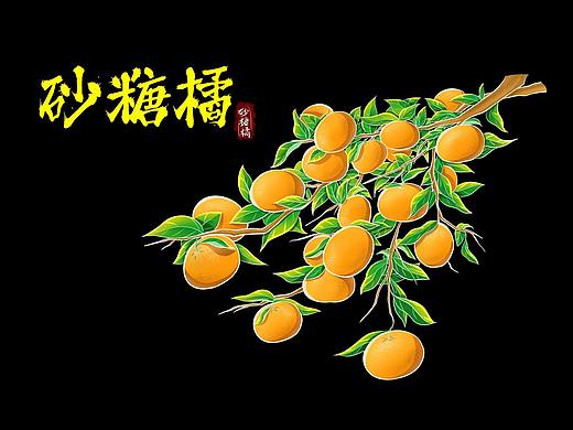 砂糖橘插画（个人主页-ZNjc1NTcyOTY=） - 商业插画 - 站酷设计师何Y娟原创素材 - 站酷ZCOOL