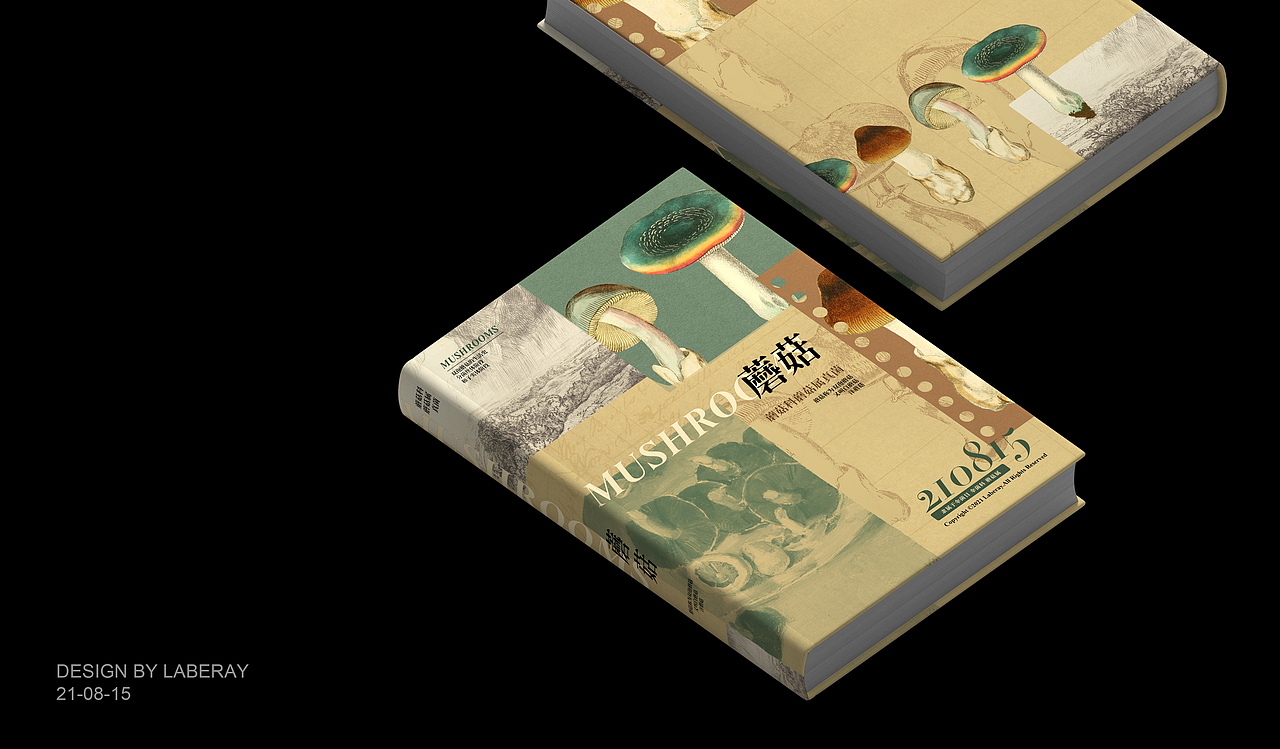 《蘑菇》丨书籍装帧设计（图ZMjY2ODEzMzY0） - 书籍/画册 - 站酷设计师Laberay淮原创素材 - 站酷ZCOOL