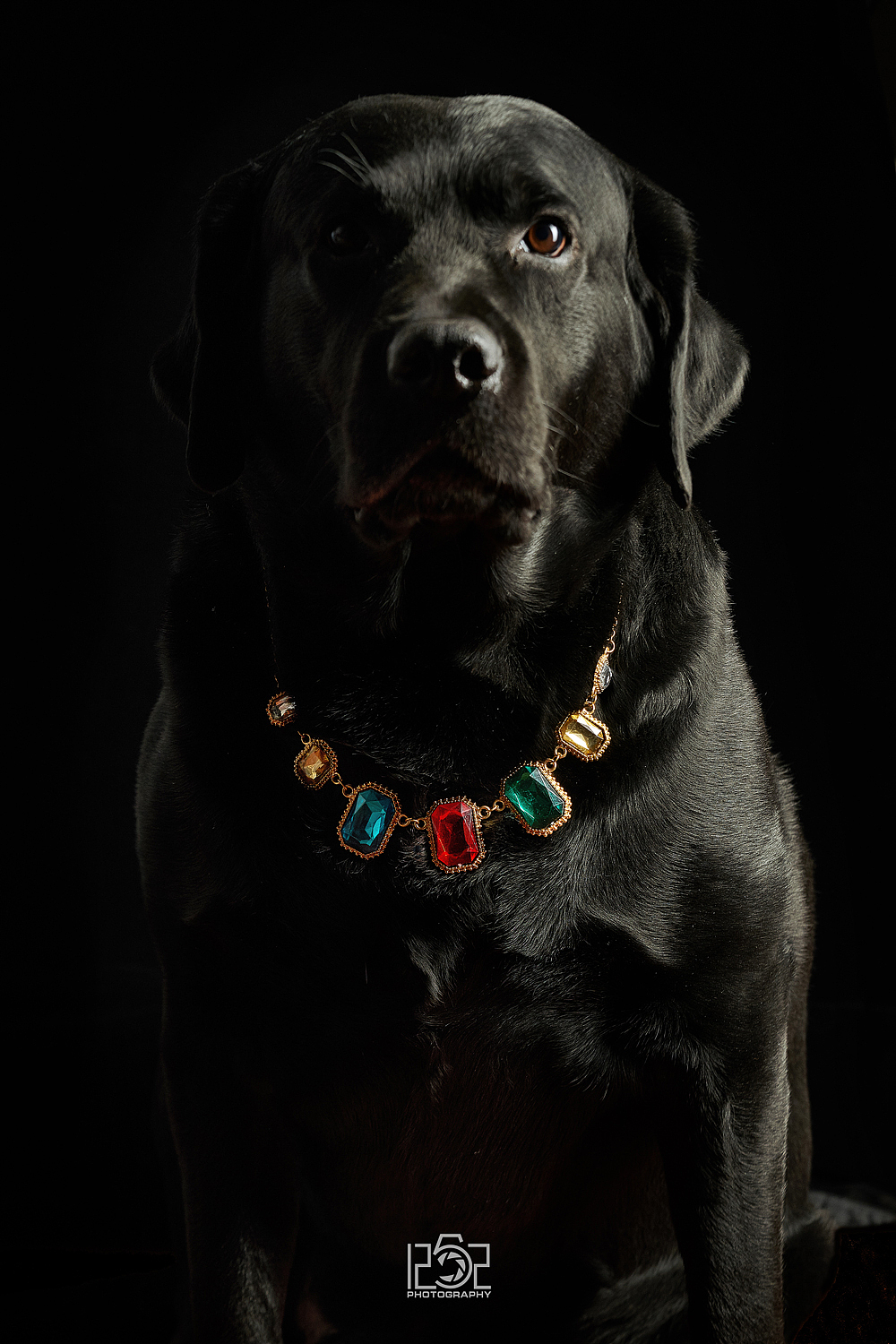 #1252第三十八轮约拍##首饰#