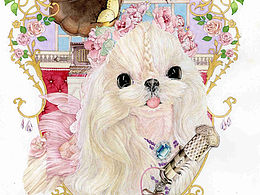 狗中贵族马尔济斯