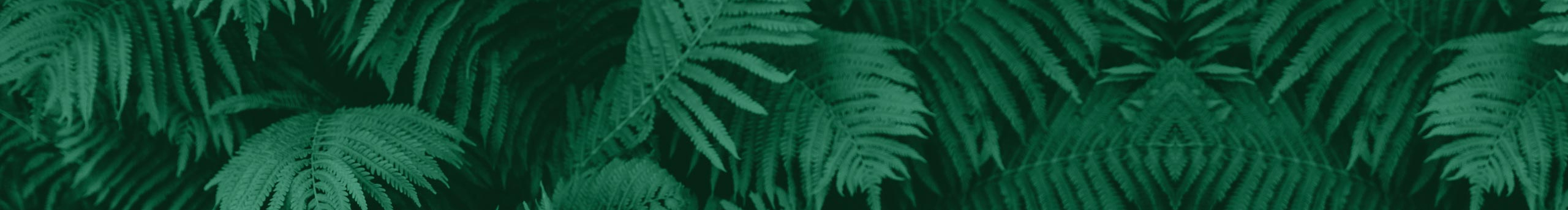 水月轩雨的个人主页（封面预览） - 主页封面设置 - 站酷设计师水月轩雨原创素材 - 站酷ZCOOL