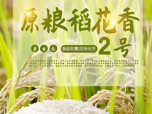 五常稻花香大米详情