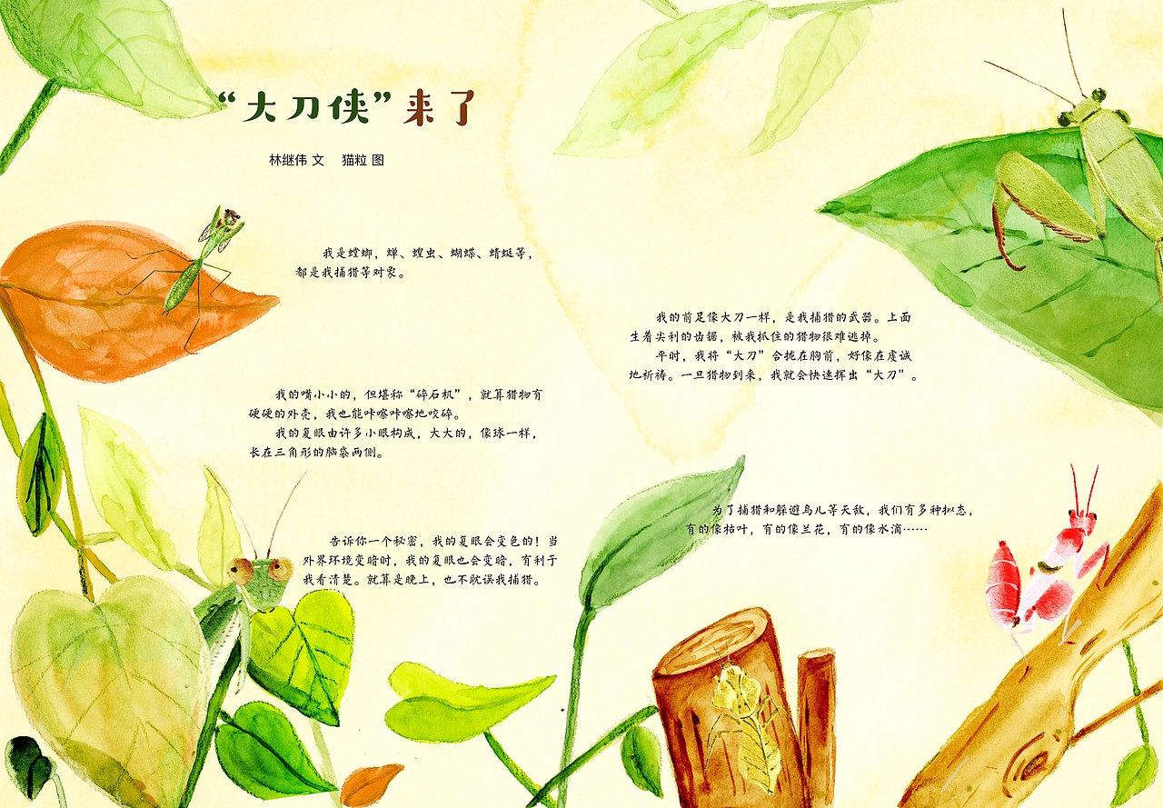 “大刀侠”来了 —— 小学生导刊 内文图