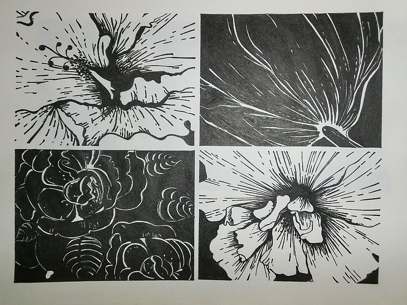 画画画画,大神勿喷