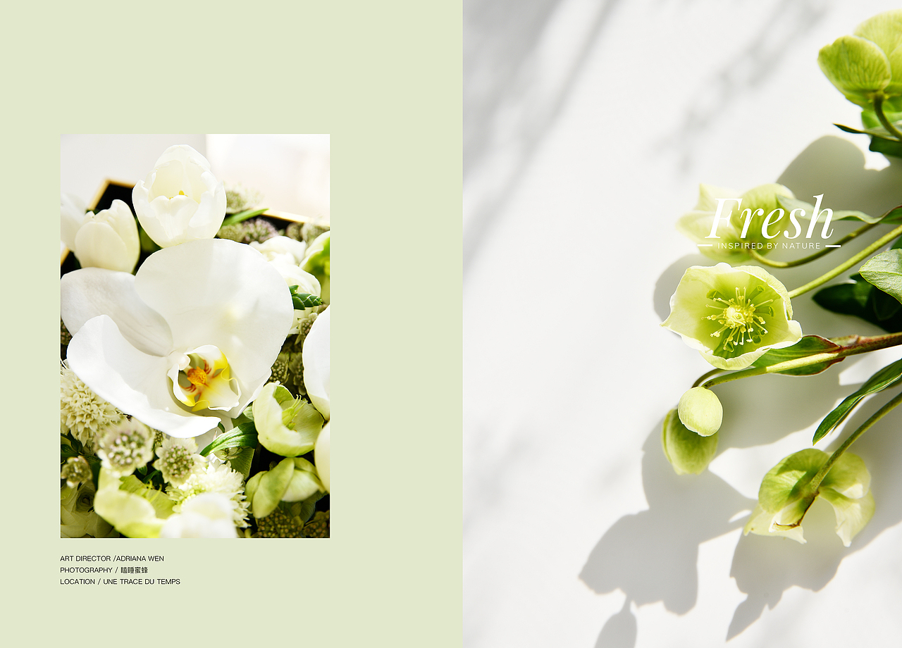 【体感上春天的到来是令人愉悦的】（图ZMTk5MjM5MDg4） - 产品摄影 - 站酷设计师瞌睡蜜蜂原创素材 - 站酷ZCOOL